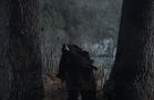 Monika Weiss
Koiman II: Years Without Summers (Nocturne 1)
2017
Still from 4K digital film