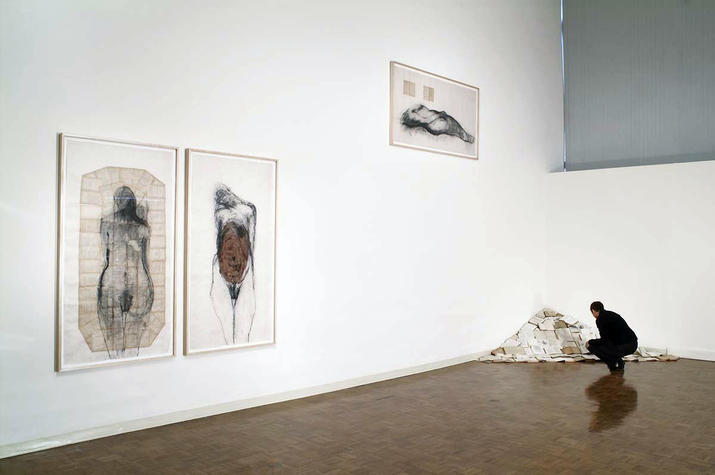 Monika Weiss: Five Rivers, Lehman College Art GallerY, CUNY, New York, 2005-2006