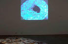 Forms of Classification: Alternative Knowledge and Contemporary Art. Exhibition views