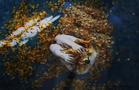 Monika Weiss
Keimai
2005
Still from video. Limited edition of 3 + 2 AP
