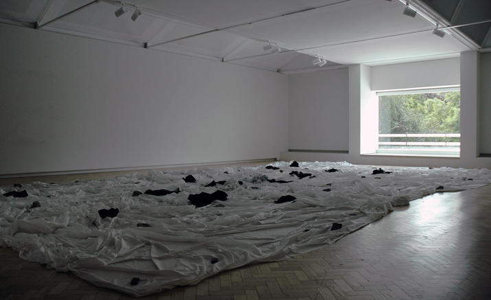 EXHIBITION: Monika Weiss - Anamnesis II, 2013