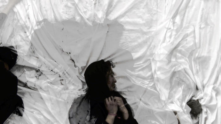 Anamnesis II (Canto 1), 2013