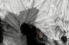 Monika Weiss, Anamnesis II, 2013
Limited edition color print, dimensions variable
Still from limited edition video and sound composition.