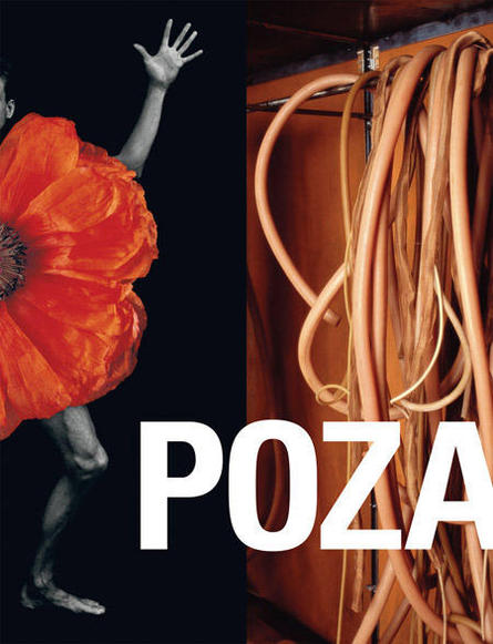 POZA: On the Polishness of Polish Contemporary ART / D.A.P. Real Art Ways, 2008
