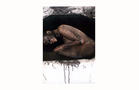 Monika Weiss
Elytron
2003
Limited edition self-shot photography, 1 of 3
dimensions variable