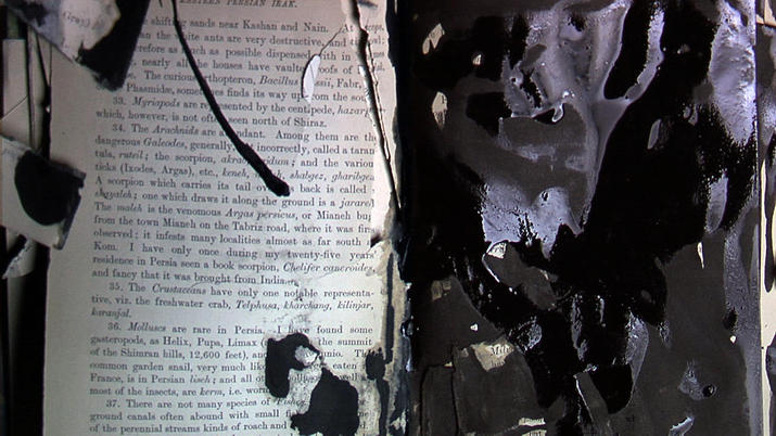 Enunciation, 2012