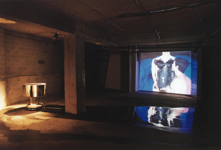 Art Papers / Sara Hornbacher: Altered States; Monika Weiss: Koiman / by Cathy Byrd