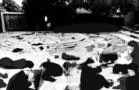 Monika Weiss-Project in Delhi (part 01)
Preparatory drawings
2014
